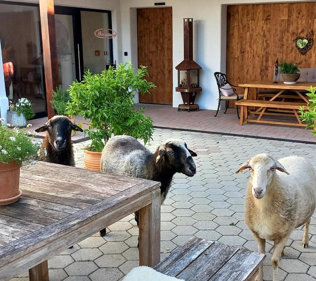 Roiderhof Irrsee Oberhofen am Irrsee Zewnętrze zdjęcie