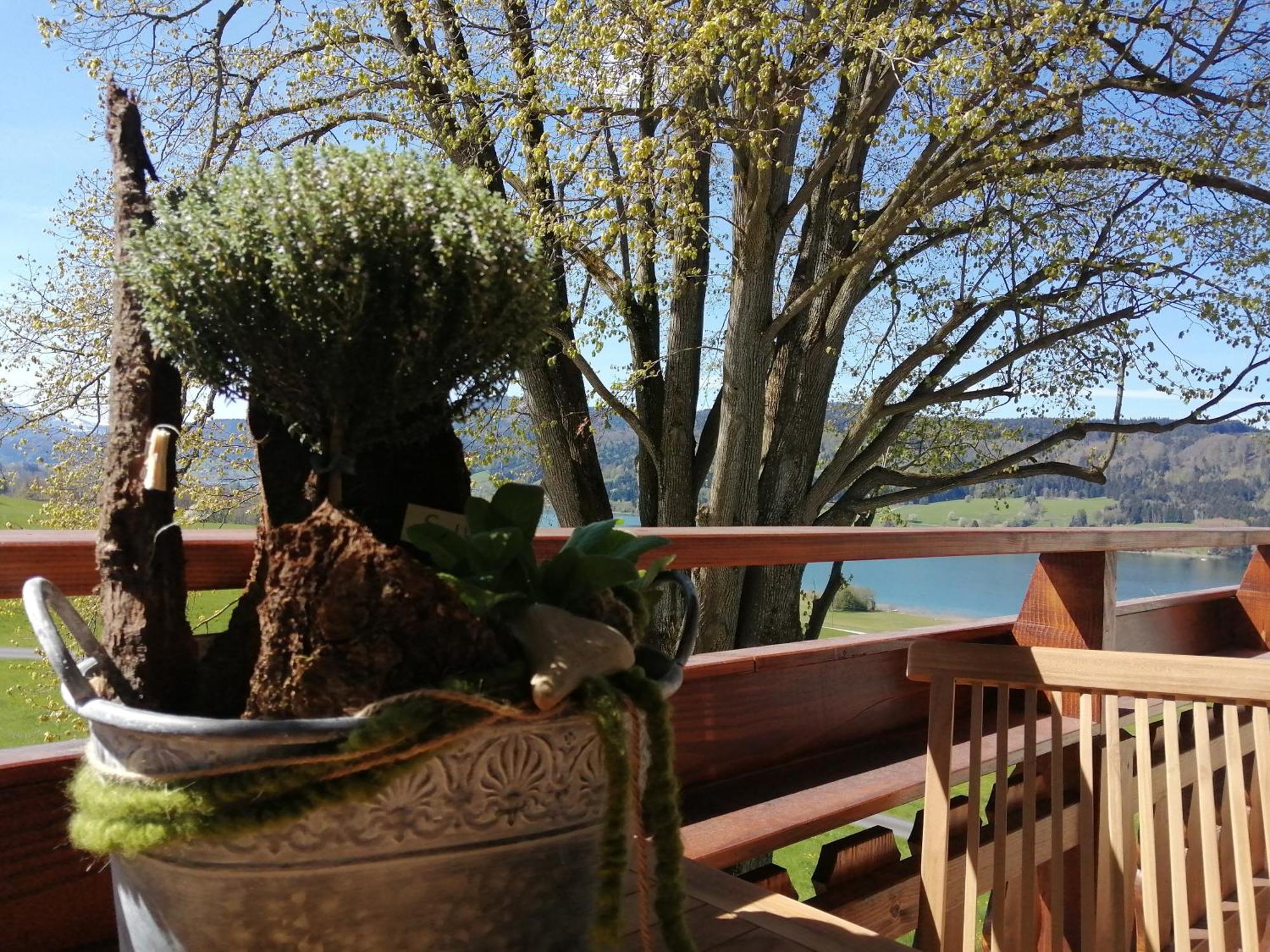 Roiderhof Irrsee Oberhofen am Irrsee Zewnętrze zdjęcie