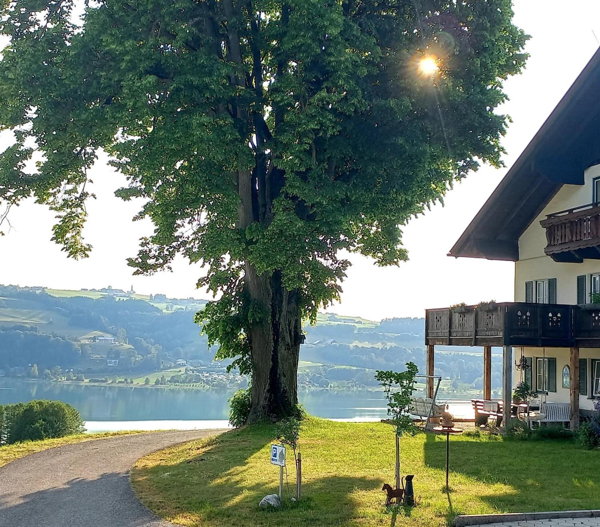 Roiderhof Irrsee Oberhofen am Irrsee Zewnętrze zdjęcie