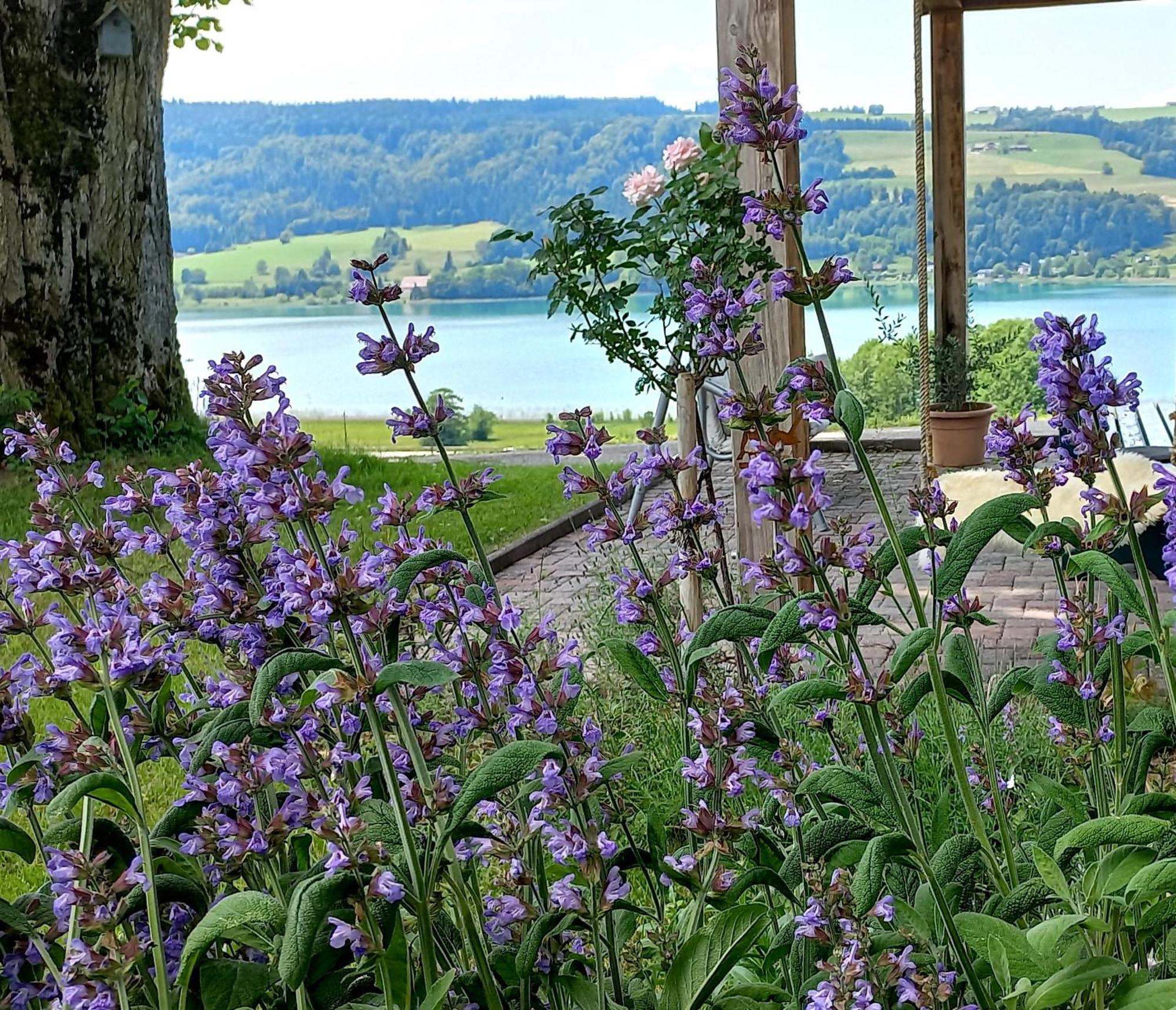 Roiderhof Irrsee Oberhofen am Irrsee Zewnętrze zdjęcie